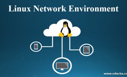 Linux-Network-Environment