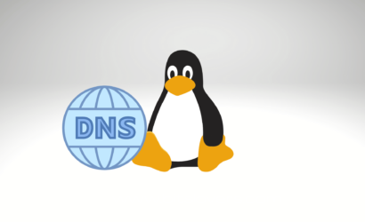 linux-flux-dns